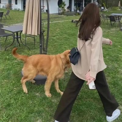 绿鸡蛋和绿火腿第二季